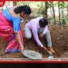 ගම් දහසක වැඩ දහසක් මාතර ආසනයේ සමාරම්භක වැඩසටහන ඇමැති සරෝජා සාවිත්රීගේ ප්රධානත්වයෙන් ඇරඹෙයි
