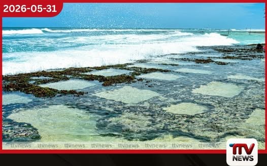 තල්පේ මුහුදේ දිය නාමින් සිටි තරුණයින් සිව්දෙනෙකු රළ පහරට හසුවෙයි 17 හැවිරිදි තරුණයෙක් අතුරුදන්