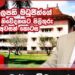 මහාචාර්ය විමලසේනත් තමන් කළ පොත් සොරකම පිලිගෙන තිබියදී මධුජිත් සුදුහුණු ගාන්නේ ඇයි ?