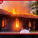 ගිනිගැනීමට ලක්වූ සෙනෙහසේ කැදැල්ල  ලියාපදිංචි නොකළ ආයතනයක්