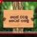 ජෛව විවිධත්ව සංරක්ෂණ දිනය සහ ලාංකීය වන සංරක්ෂණ විප්ලවය