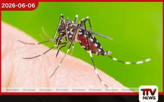 ඩෙංගු යළි හිස ඔසවයි ගත වූ කාලයේදී මරණ 20ක් සහ රෝගීන් 35,300ක් වාර්තා වෙයි