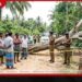 පක්ෂ මාරු පනතට නාමල් රාජපක්ෂගෙන් පූර්ණ සහය