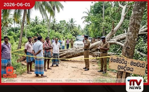 පක්ෂ මාරු පනතට නාමල් රාජපක්ෂගෙන් පූර්ණ සහය