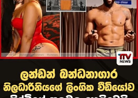 කුලී රථ රියදුරා කොල්ලකෑ සැකකරුවන් තිදෙනා පැය කිහිපයකින් පොලිස් අත්අඩංගුවට