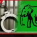 රට රැකියා ලබාදෙන පවසා  මුදල් වංචා කළ  UNP මන්ත්‍රීවරයෙක්  අත්අඩංගුවට