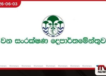 දෙමලිය – වන්දම අලි මංකඩ  ව්‍යාපාරිකයන්ට ලබා දීමේ සූදානමක් නැත