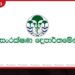 දෙමලිය – වන්දම අලි මංකඩ ව්යාපාරිකයන්ට ලබා දීමේ සූදානමක් නැත