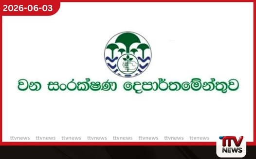 දෙමලිය – වන්දම අලි මංකඩ ව්යාපාරිකයන්ට ලබා දීමේ සූදානමක් නැත