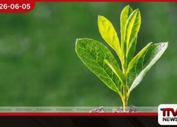 ජගත් පරිසර දිනය අද දේශගුණ විපර්යාස අවම කිරීම වෙනුවෙන් ජාතික උත්සවයක් අරලියගහ මන්දිරයේදී