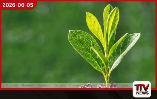 ජගත් පරිසර දිනය අද දේශගුණ විපර්යාස අවම කිරීම වෙනුවෙන් ජාතික උත්සවයක් අරලියගහ මන්දිරයේදී