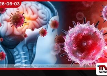 මෙනින්ජයිටීස් රෝග ව්යාප්තියක්: