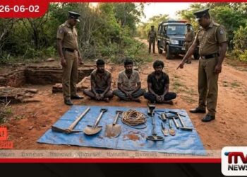 පුරාවස්තු කැණීම් කළ තිදෙනෙක් උපකරණ සමඟ අත්අඩංගුවට