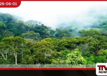 2025 සිට මේ දක්වා  වනාන්තර 81ක් රක්ෂිත ලෙස  ප්‍රකාශයට පත් කෙරේ