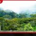 2025 සිට මේ දක්වා  වනාන්තර 81ක් රක්ෂිත ලෙස  ප්‍රකාශයට පත් කෙරේ