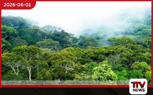 2025 සිට මේ දක්වා වනාන්තර 81ක් රක්ෂිත ලෙස ප්රකාශයට පත් කෙරේ