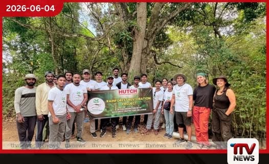රජවක වැසි වනාන්තර ප්රතිසංස්කරණ ව්යාපෘතිය හරහා HUTCH සිය ESG කැපවීම ශක්තිමත් කරයි