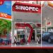 ඉන්ධන මිල තවදුරටත් ඉහළ දමන ලෙස ඉන්ධන සමාගම් රජයෙන් ඉල්ලයි