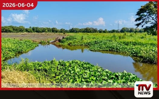 මාදුරුඔය කුඩාඔය හරස් කර ඉදිකළ අනවසර අමුණු හේතුවෙන් කුඹුරු අක්කර 100ක් ජලයෙන් යටවෙයි