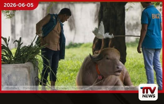 බංග්ලාදේශ සත්වෝද්යානයකින් ඩොනල්ඩ් ට්රම්ප් නම ඉවත් කරයි