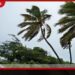 දිවයින පුරා තද සුළං පිළිබඳ  කාලගුණ විද්‍යා දෙපාර්තමේන්තුවෙන්  විශේෂ අනතුරු ඇඟවීමක්