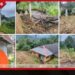 දිට්වා ඇවිත් මාස 7ක් ගියත් වැනසුණු කොත්මලේ රජ මහා විහාරයට තවමත්  කුඩම්මාගේ සැලකිලි