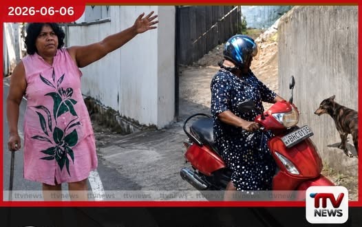 වීදි සුනඛයින්ට හිංසා කළ බැංකු නිලධාරිණිය අත්අඩංගුවට