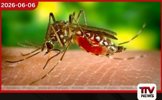 මිනිසුන්ට මෙන්ම සතුන්ටත් වැළඳෙන භයානක මැලේරියා පරපෝෂිතයෙක් ලංකාවෙන් මතු වෙයි
