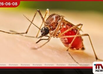 බරවා රෝගය ව්යාප්ත කරන නව පරපෝෂිතයෙක් හඳුනා ගනී