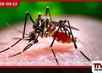 ඩෙංගු රෝගීන් සීඝ්රයෙන් ඉහළට රෝහල් ධාරිතාවත් ඉක්මවයි