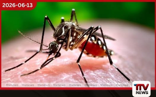 ඩෙංගු රෝගීන් සීඝ්රයෙන් ඉහළට රෝහල් ධාරිතාවත් ඉක්මවයි
