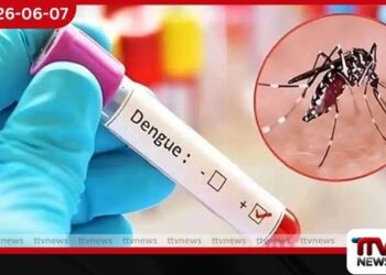 මෙරට ඩෙංගු රෝගීන් වාර්තා වීම සියයට 50කට අධික ප්රතිශතයකින් ඉහළට