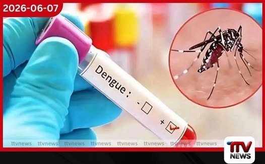 මෙරට ඩෙංගු රෝගීන් වාර්තා වීම සියයට 50කට අධික ප්රතිශතයකින් ඉහළට