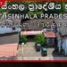 සමගි ජන බලවේගයේ බුලත්සිංහල ප්රාදේශීය සභා මන්ත්රීවරුන් පස් දෙනෙකු පක්ෂයෙන් නෙරපා හරියි