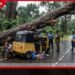 නාවලපිටියේදී ත්රීරෝද රථයක් මතට ගසක් කඩා වැටීමෙන් පාසල් සිසුවෙකු ඇතුළු තිදෙනෙකු මරුට