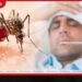 වසරේ මේ දක්වා වාර්තා වූ  ඩෙංගු රෝගීන් සංඛ්‍යාව  38,000 ඉක්මවයි