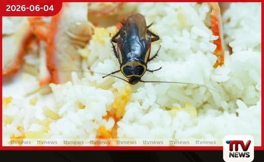 ලෝක ආහාර සුරක්ෂිතතා දිනය අනාරක්ෂිත ආහාරවලින් වාර්ෂිකව මිලියන 1.5ක ජීවිත අහිමි වේ