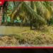 ඇල මාර්ග 31ක් කඩිනමින් ප්රතිසංස්කරණය කිරීමට රජයෙන් පියවර