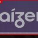 බ්රසීලයේ Raizen සමාගම ඩොලර් බිලියන 12.5ක දැවැන්ත ණය ප්රතිව්යුහගතකරණ ගිවිසුමකට එළඹෙයි