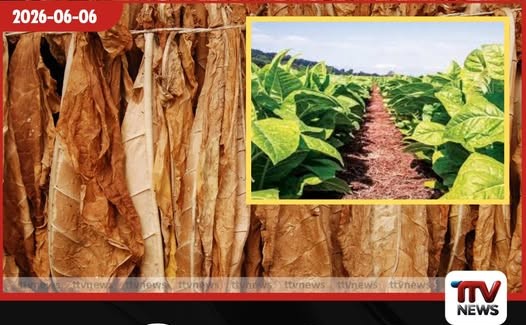 දුම්කොළ වගාව මෙරටින් මුළුමනින්ම තුරන් කිරීමේ ජාතික මෙහෙයුම