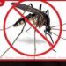 ලබන 08, 09 සහ 10 දින තුනේ විශේෂ මදුරු මර්දන වැඩසටහන්
