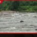 අධික වර්ෂාව හේතුවෙන් ප්රධාන ගංගා තුනක ජල මට්ටම ඉහළට