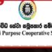 සමුපකාරයේ වසර 7ක විගණන ප්රමාදයක් සහ උකස් වංචාවක් හෙළි වෙයි