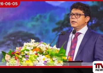 හීලෑ අලි ඇතුන් කළමනාකරණයට  නව ප්‍රතිපත්තියක්