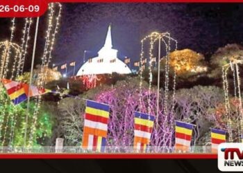 කොළඹ ප්රථම වරට ජාතික බාලදක්ෂ පොසොන් කලාපයක්