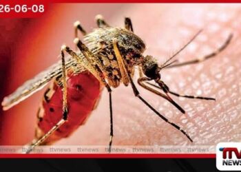 ඩෙංගු අවදානම් දිස්ත්‍රික්ක 14ක අද සිට දින 3ක විශේෂ මර්දන මෙහෙයුමක්