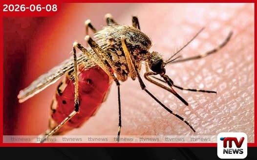 ඩෙංගු අවදානම් දිස්ත්රික්ක 14ක අද සිට දින 3ක විශේෂ මර්දන මෙහෙයුමක්
