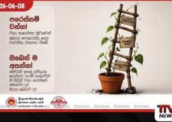 මායා බෝංචි වගා කරනවාද?