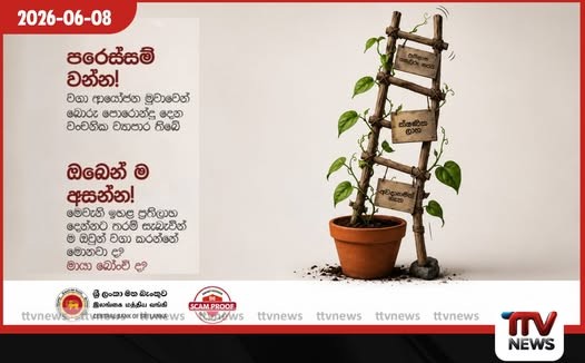 මායා බෝංචි වගා කරනවාද?