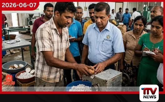 පොල් පර්යේෂණ ආයතනයෙන් පොල් මද ආශ්රිත නිෂ්පාදන පුහුණු වැඩසටහනක්